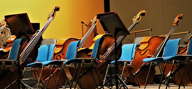 仪器 低音 低音提琴 - 上的免费照片