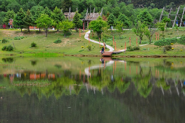 风景 香格里拉 普达措 - 上的免费照片