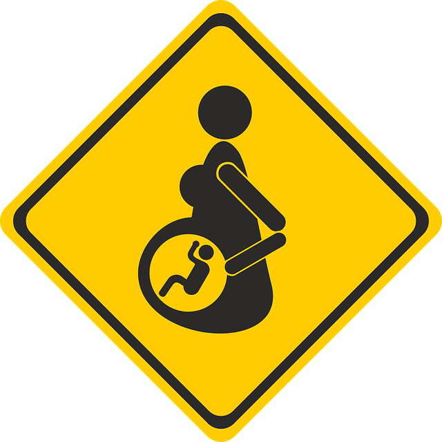 怀孕 警告牌 符号 - 免费矢量图形