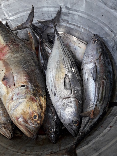 鱼 黄花鱼 食物 - 上的免费照片