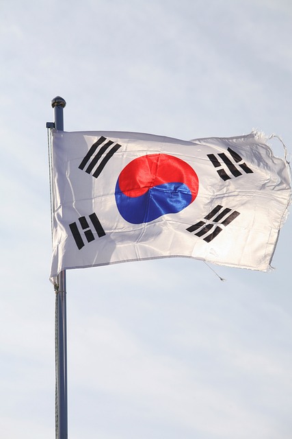 韩国国旗 北首脑会议标志 旗帜 - 上的免费照片