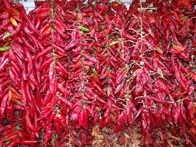 比萨饼 锋利的 蔬菜 - 上的免费照片