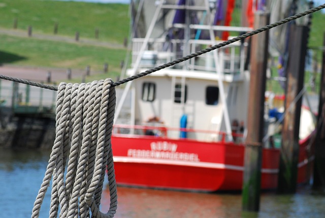 渔刀 港口 露 - 上的免费照片