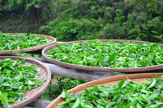 晒茶 茶叶 - 上的免费照片