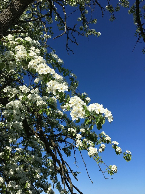 蓝蓝的天空 Sommer 白色的 - 上的免费照片