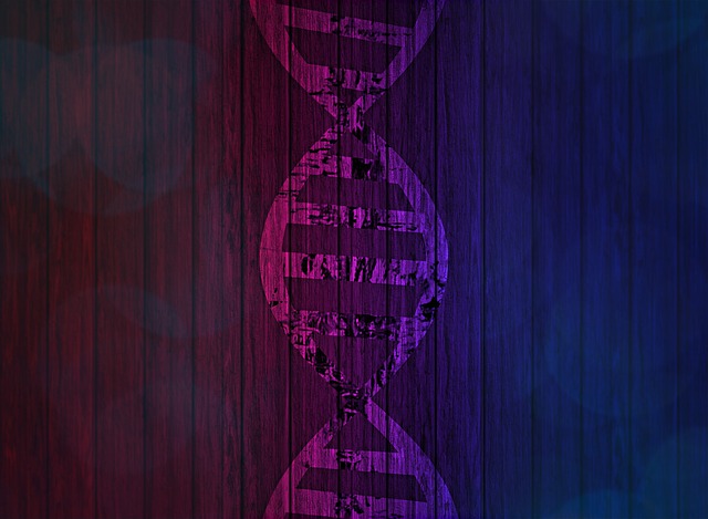 Dna 脱氧核糖核酸 遗传信息 - 上的免费图片
