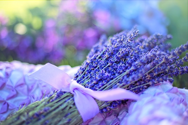 薰衣草 花朵 花束 - 上的免费照片