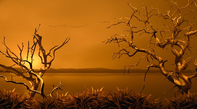 黄色 天空 的风景 - 上的免费照片