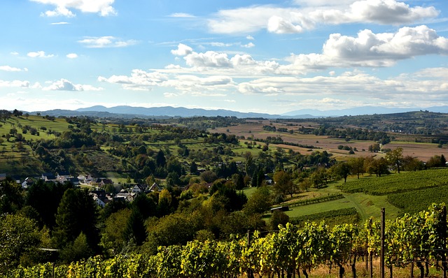 Kaiserstuhl 景观 天堂 - 上的免费照片