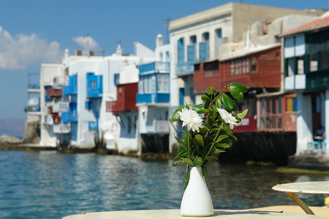 米科诺斯岛 花 希腊 - 上的免费照片