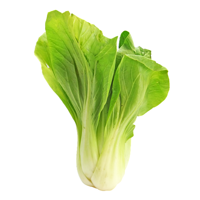 Bokchoy 小白菜 卷心菜 - 上的免费照片