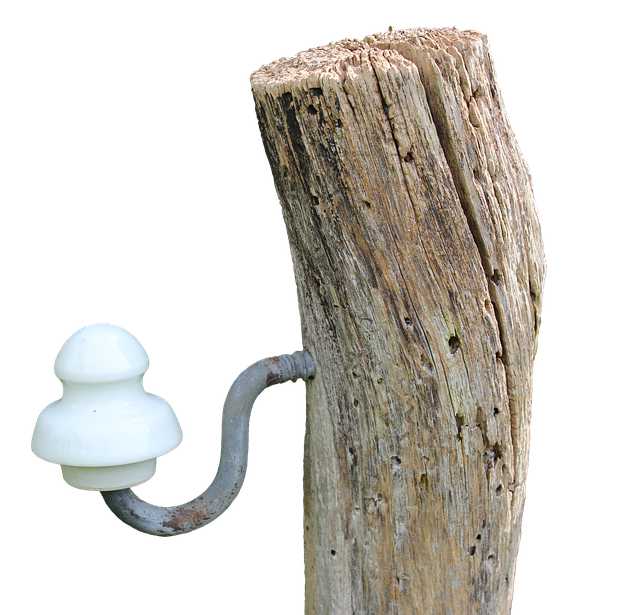 赌注 木头 木杆 - 上的免费照片