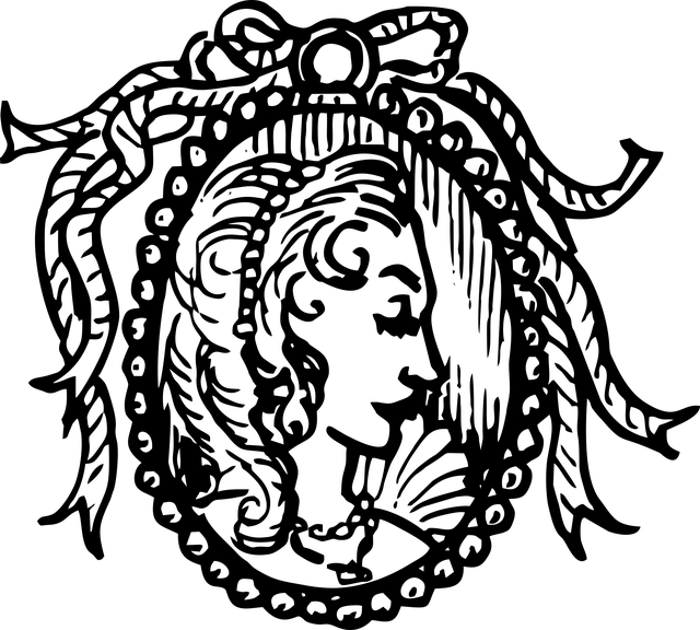 小盒坠子 客串 肖像 - 免费矢量图形