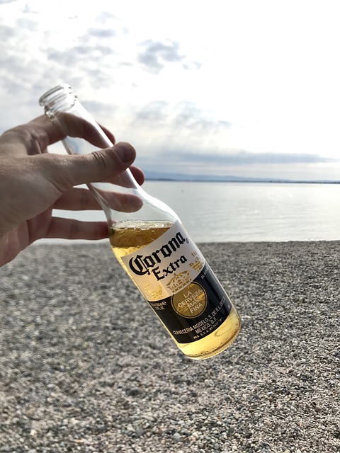 啤酒 晕额外 海滩 - 上的免费照片