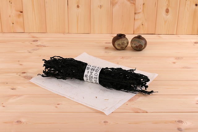 海藻 纠结 海带 - 上的免费照片