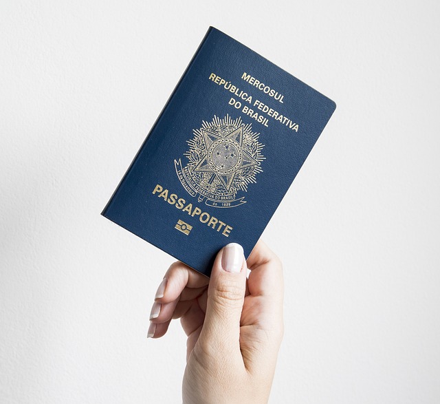 护照 签证 移民 - 上的免费照片