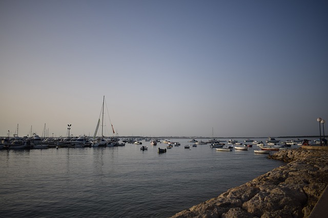 奇克拉纳 圣彼得 培养皿 - 上的免费照片