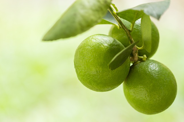 柠檬 维生素C 果汁 - 上的免费照片