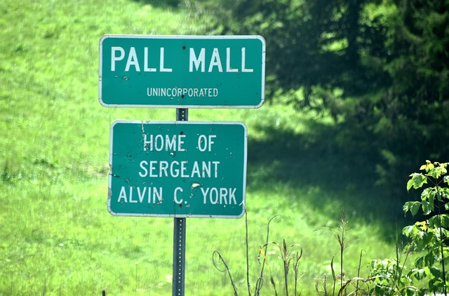 Pall Mall Tn签署 警长的纽约的家乡 - 上的免费照片