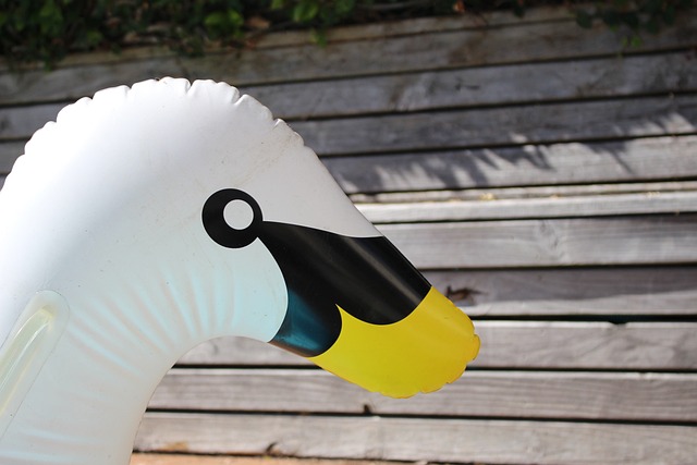 鸭 浮选 玩具 - 上的免费照片