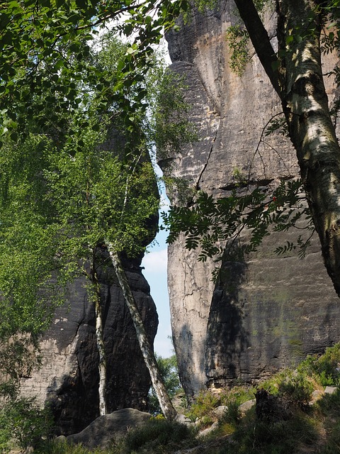 Frienstein监护人 Frienstein 易北河砂岩 - 上的免费照片