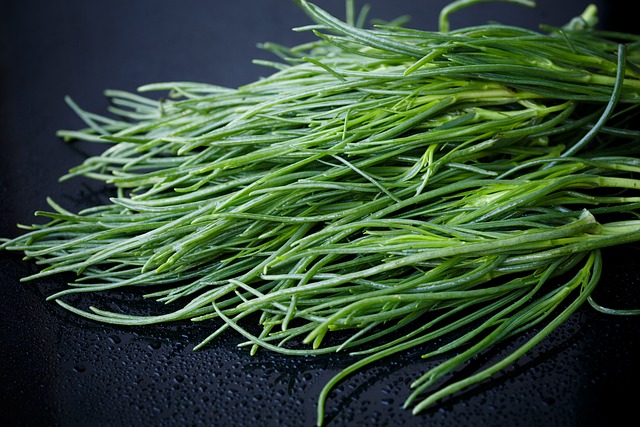 Saltwort Barba迪Frate酒店 Agretti - 上的免费照片