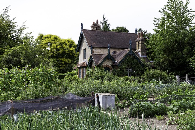 爱德华的小屋 传统的菜园 豆框架 - 上的免费照片