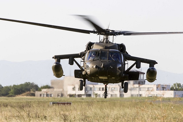 Uh-60黑鹰 美国军队 航空 - 上的免费照片