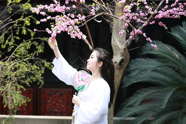 古装 少女 - 上的免费照片