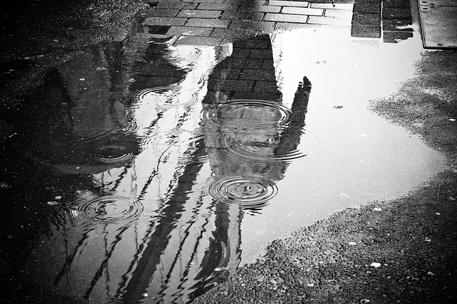 雨 水坑 水 - 上的免费照片