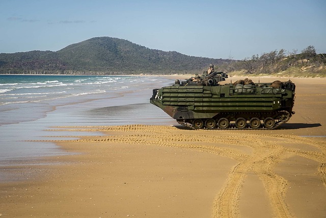 美国海军陆战队 海军陆战队 腺相关病毒-8B - 上的免费照片