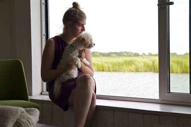 达斯 达尔斯 波罗的海 - 上的免费照片