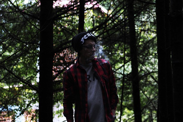 Fg Fshgfhf Dfghdgfgfff - 上的免费照片