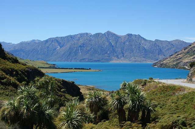 哈威亚湖 Otago - 上的免费照片