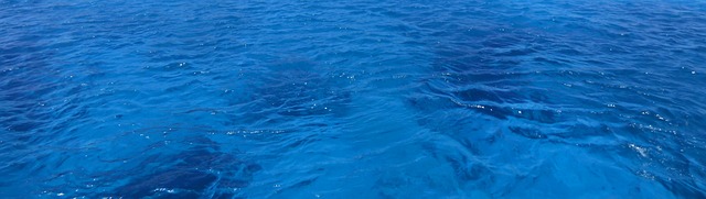 绿松石 水 海 - 上的免费照片