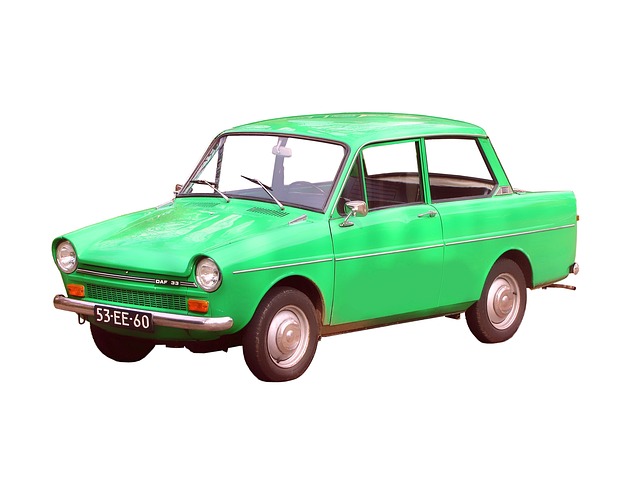 Daf Daf33 水仙花 - 上的免费照片