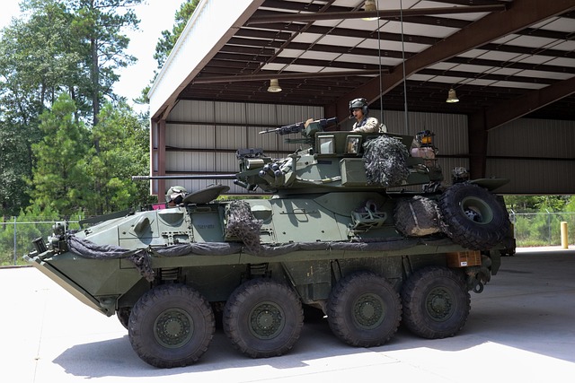 Lav-25 美国海军陆战队 海军陆战队 - 上的免费照片