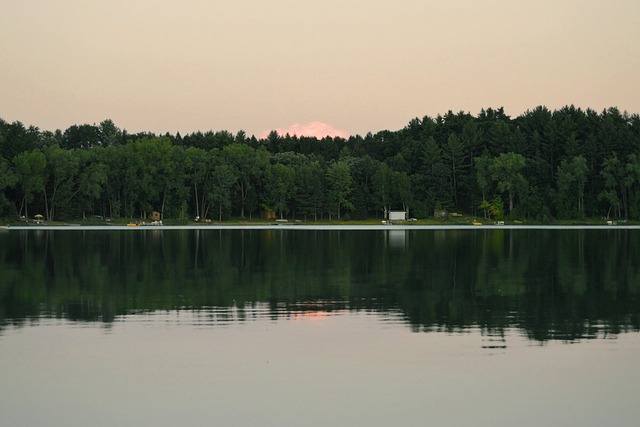 乡村的 威斯康星州 森林 - 上的免费照片