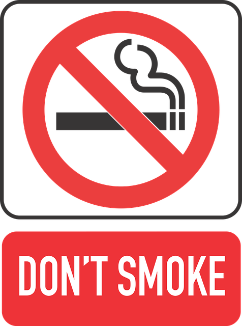 非吸烟 香烟 禁止 - 免费矢量图形