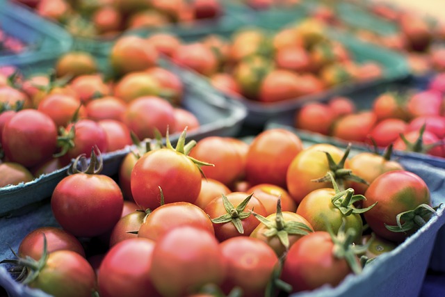 番茄 健康 生产 - 上的免费照片