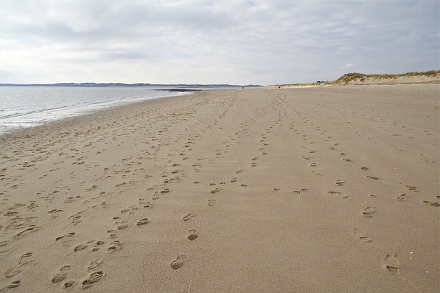 叙尔特岛 弯头 北海 - 上的免费照片