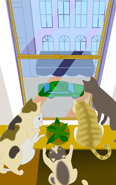 猫咪 Windows 注意力 - 上的免费图片