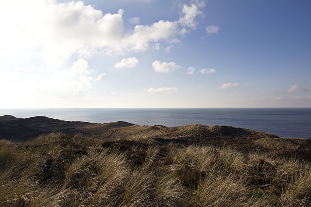 叙尔特岛 北海 岛 - 上的免费照片