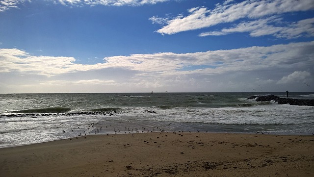 丹麦 北海 海滩 - 上的免费照片