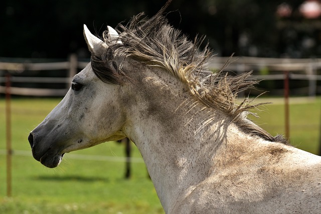 模具 配对 鬼混 - 上的免费照片