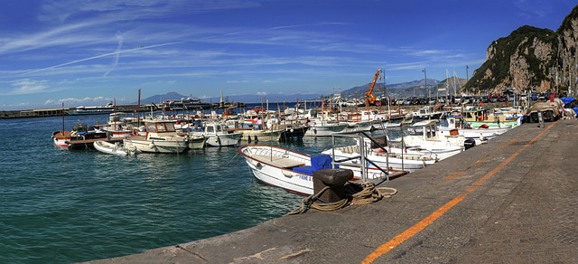 全景 港口 卡普里 - 上的免费照片