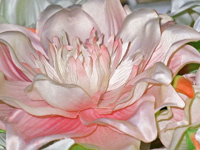 纸花 面料花卉 花 - 上的免费照片