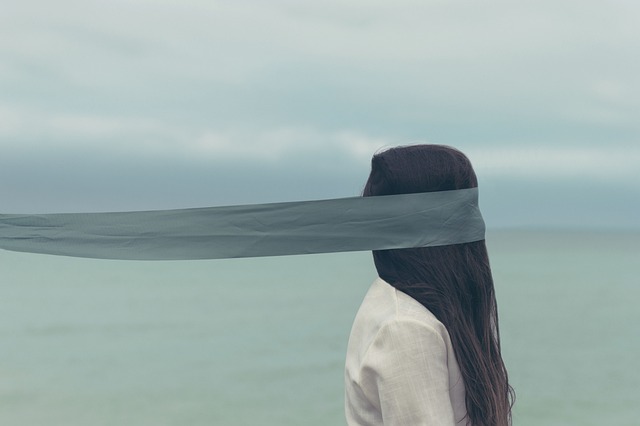 人们 女士 布 - 上的免费照片