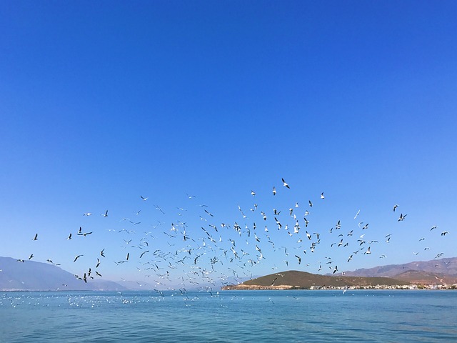 洱海 云南 双廊 - 上的免费照片