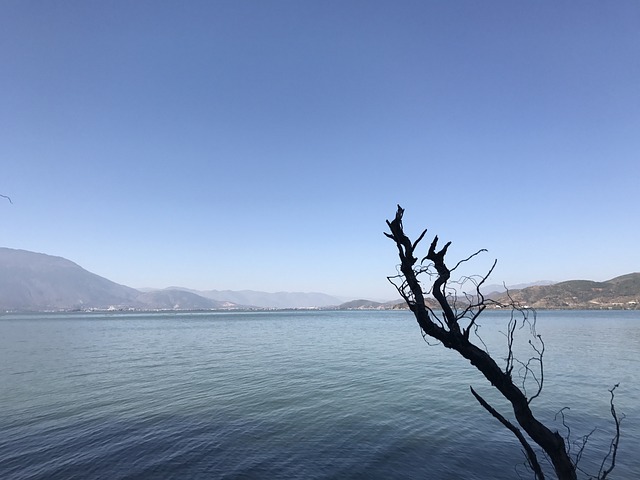 洱海 云南 双廊 - 上的免费照片